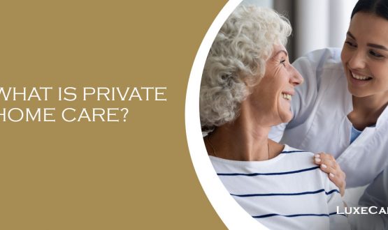 what is private home care